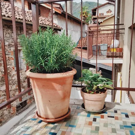 Doba House 巴韦诺
