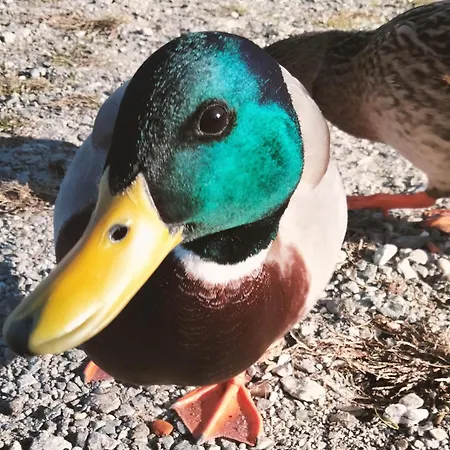Doba House Appartement